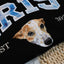 Custom Pet Portrait Embroidered Sweatshirt with Patterned Appliqué Varsity Name
