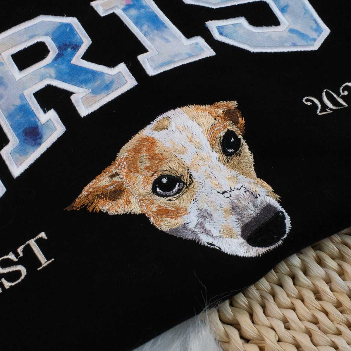 Custom Pet Portrait Embroidered Sweatshirt with Patterned Appliqué Varsity Name