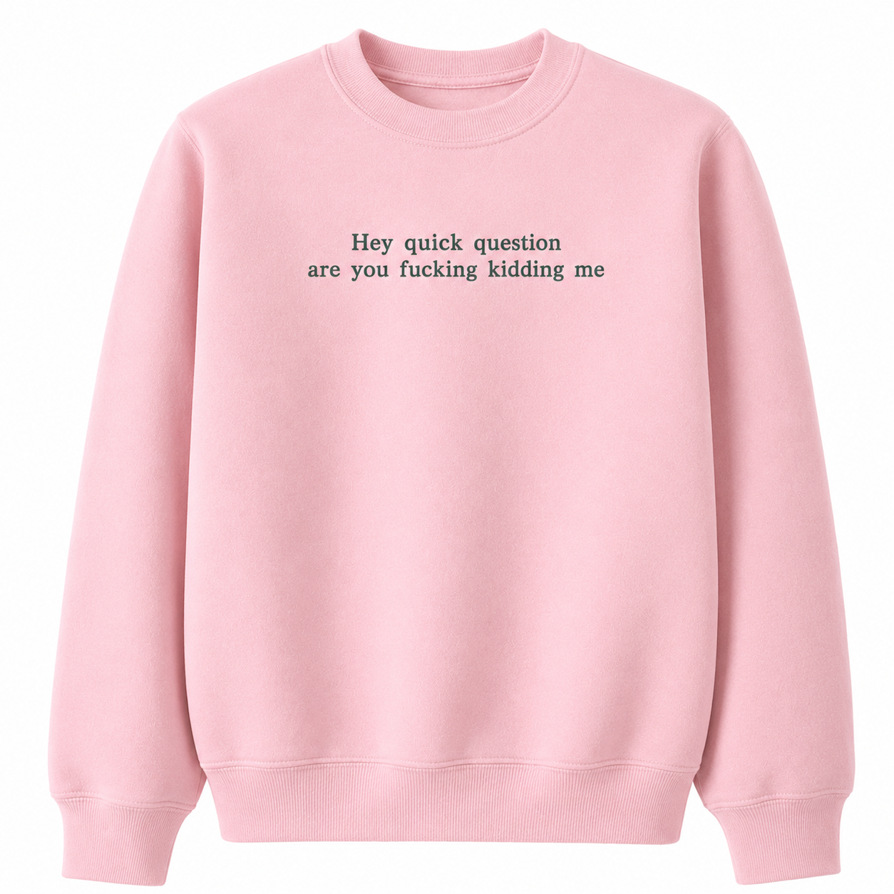 Hey Quick Question Are You Kidding Me Embroidered Sweatshirt/Hoodie/T-shirt
