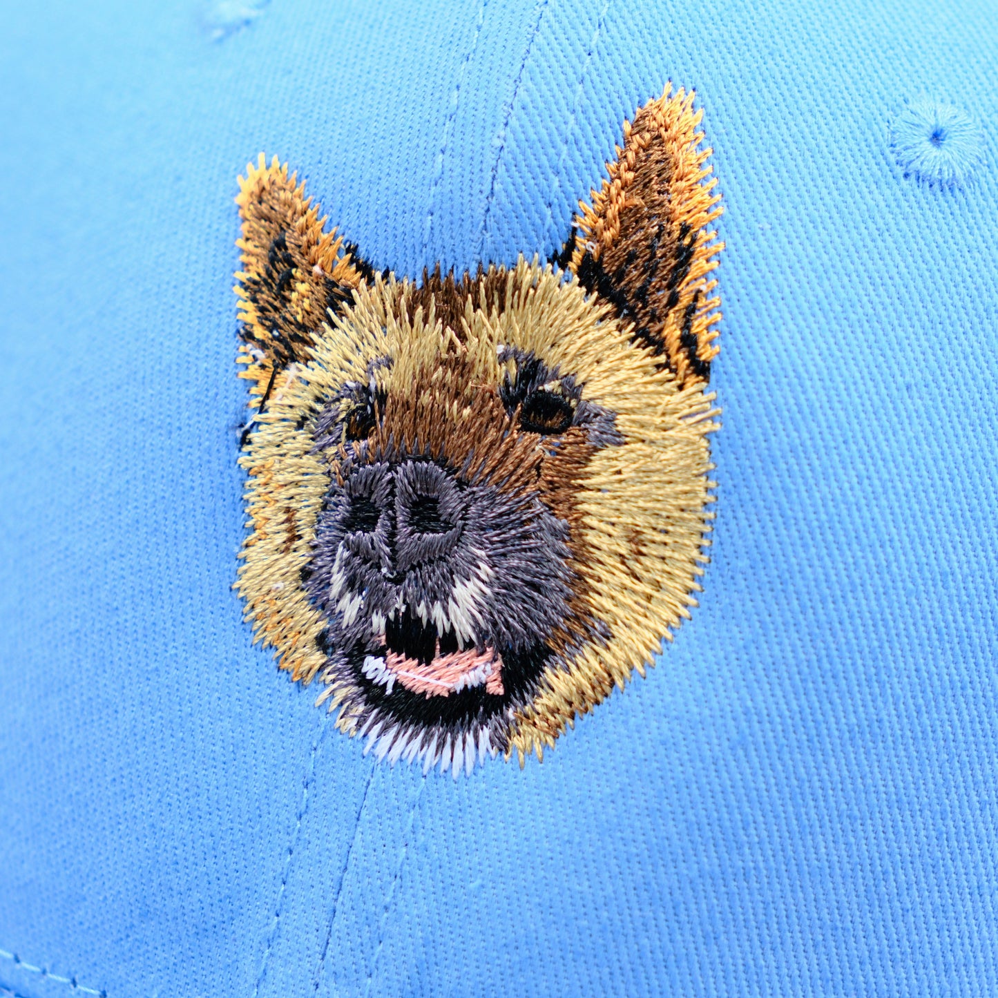 Custom Pet Photo Embroidered Hat with Name, Personalized Dog & Cat Portrait Cap, Pet Lover Gift, Pet Mom Gift, Pet Dad Gift